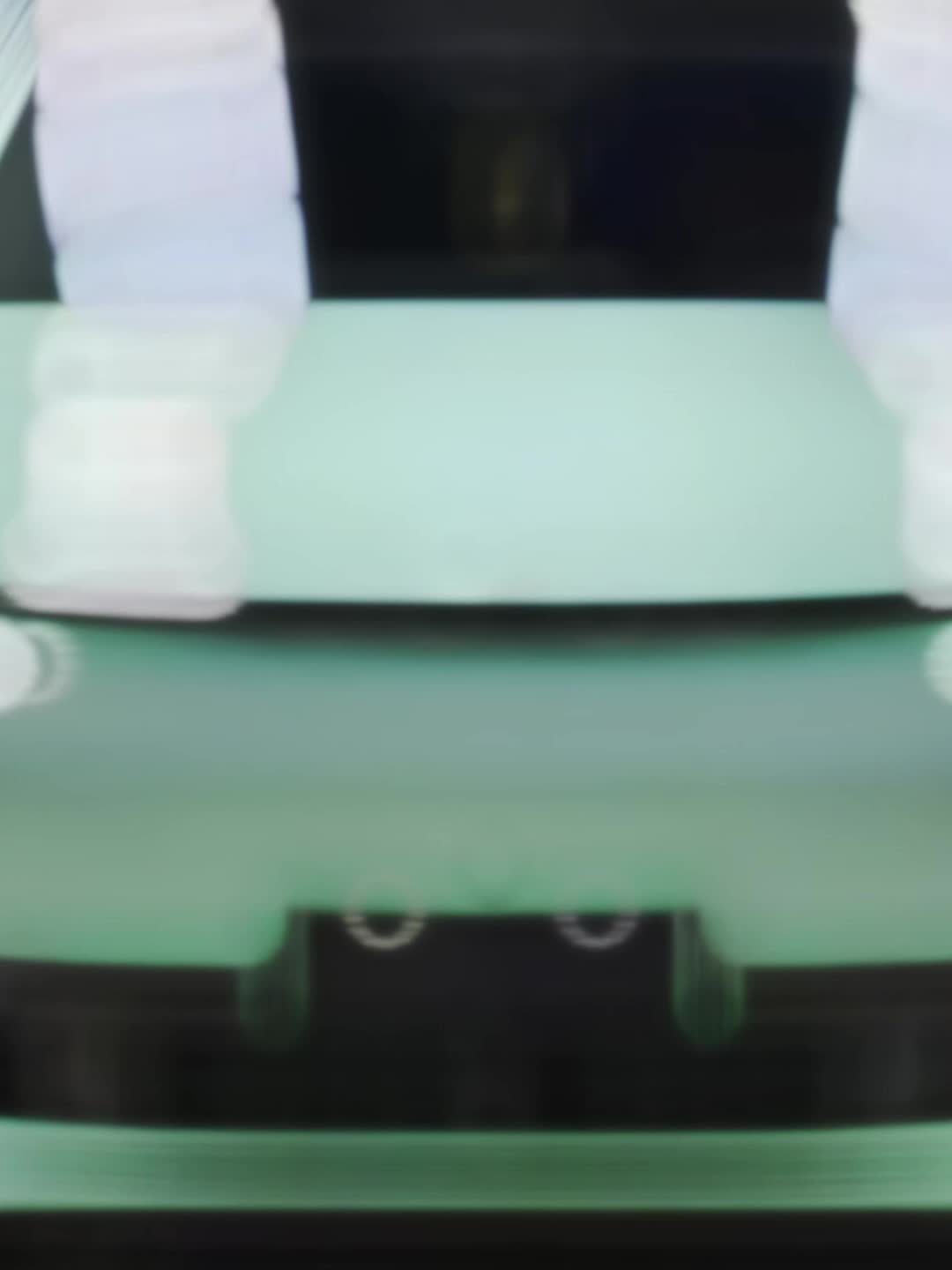 Saga Green PET Vinyl Wrap